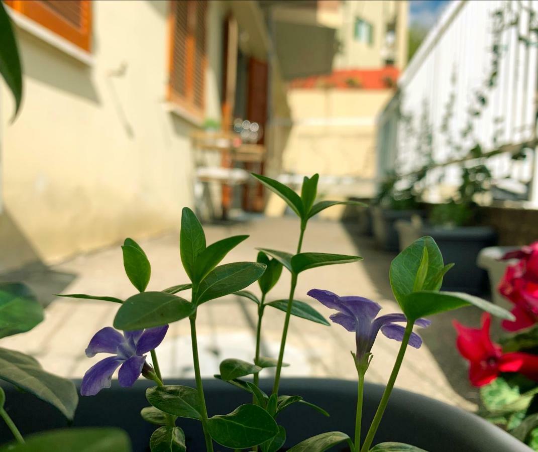 Open The Classic Wooden Shutters At A Cozy Nest Florencia